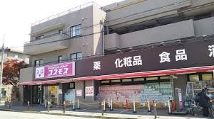 ディスカウントドラッグ コスモス 上野毛店の画像