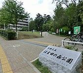 江古田の森公園の画像