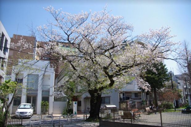 椎名町公園の画像