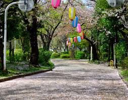 南砂緑道公園の画像