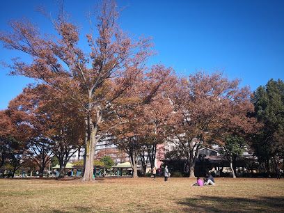 新小岩公園の画像