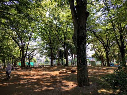 東板橋公園の画像