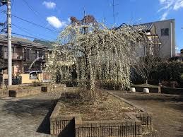 春日町さつき緑地の画像