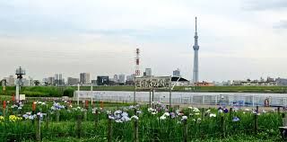 堀切水辺公園の画像