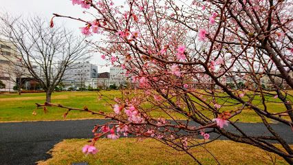 東糀谷防災公園の画像