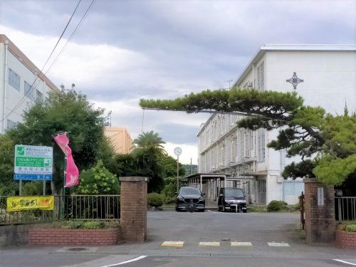 静岡市立清水岡小学校の画像