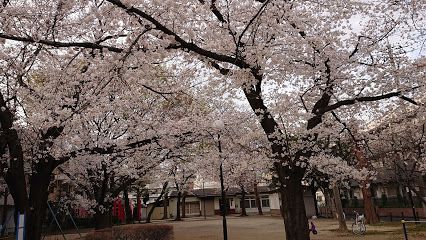 丁張稲荷公園の画像