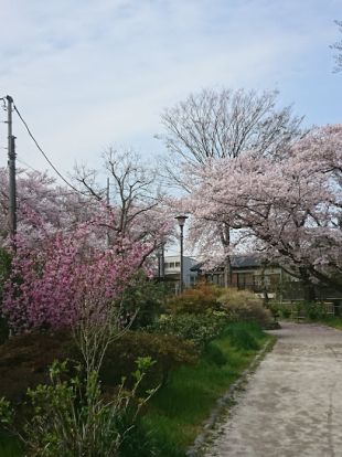 玉川上水第二公園の画像