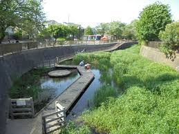 大泉井頭公園の画像