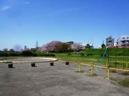多摩川玉川公園の画像