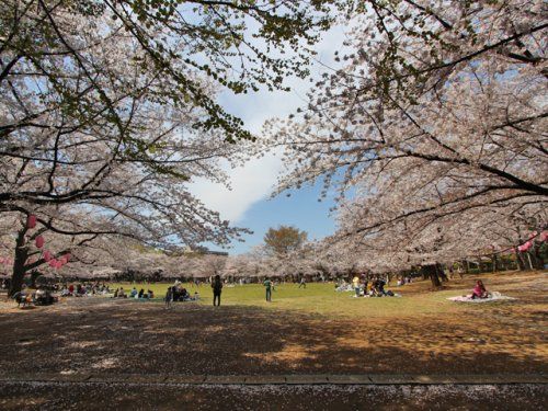 蕨市民公園の画像