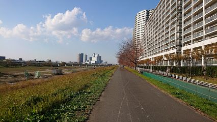 多摩川大橋緑地の画像