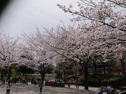 めぐろ区民キャンパス公園の画像