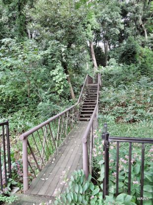 上野毛自然公園の画像