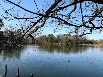 洗足池公園の画像