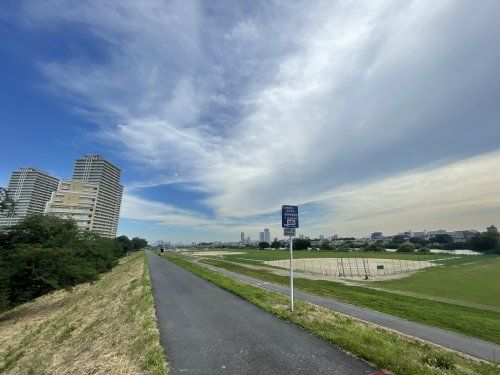 多摩川土手の画像