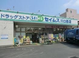 ドラッグセイムス 川口西店の画像