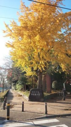 井草三丁目緑地の画像