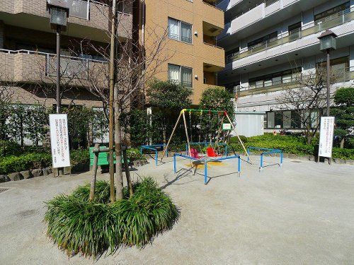 松が谷梅園公園の画像