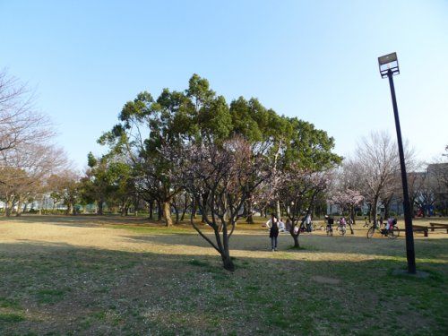 東綾瀬公園の画像