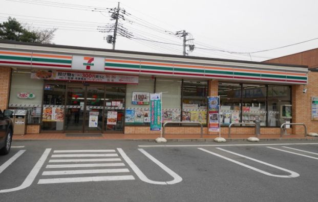 セブンイレブン 高崎藤塚町店の画像