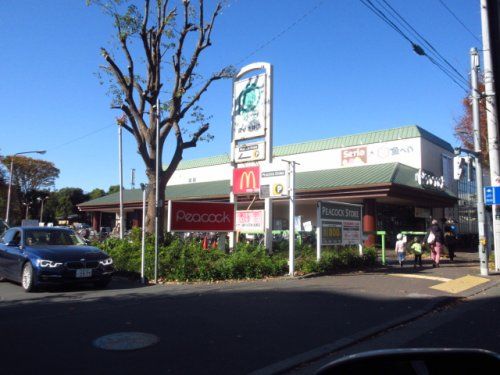 マクドナルド 東小金井ピーコックストア店の画像