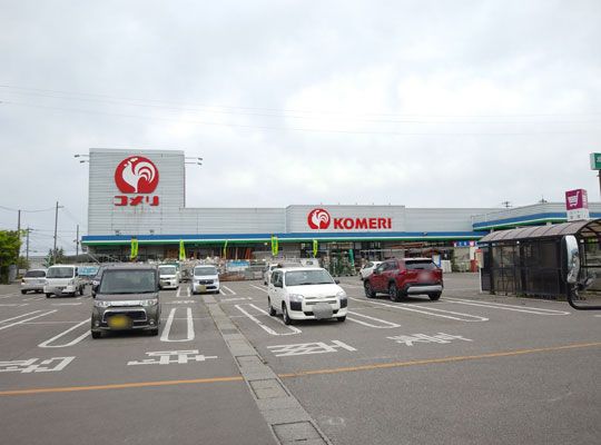 コメリ ハード&グリーン上市店の画像