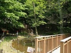 上野毛自然公園の画像
