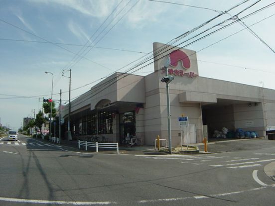 アオキスーパー 加木屋店の画像