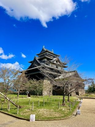 松江城の画像