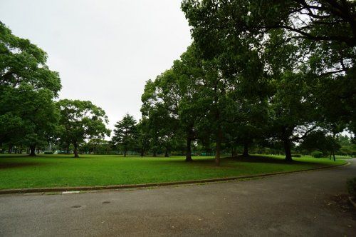 都立篠崎公園の画像