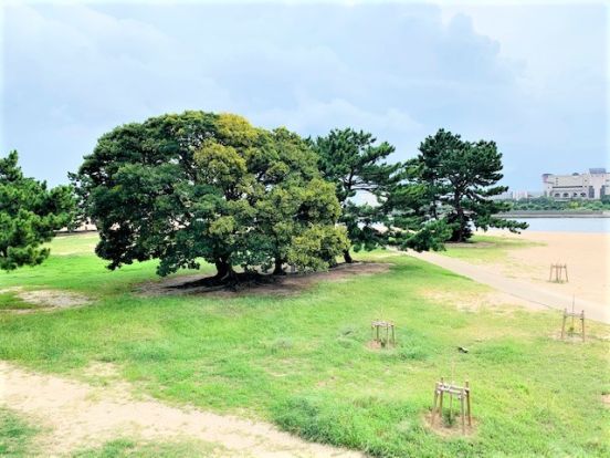 御前浜公園の画像