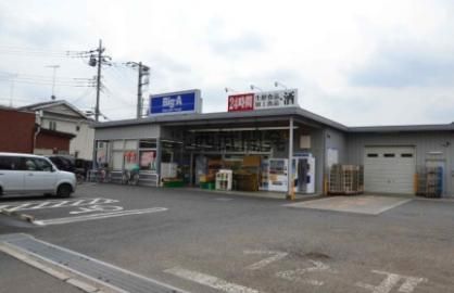 ビッグ・エー 狭山広瀬東店の画像