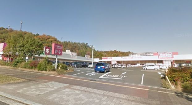 クスリ岩崎チェーン 西風新都店の画像