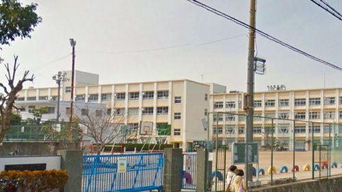 神戸市立南五葉小学校の画像