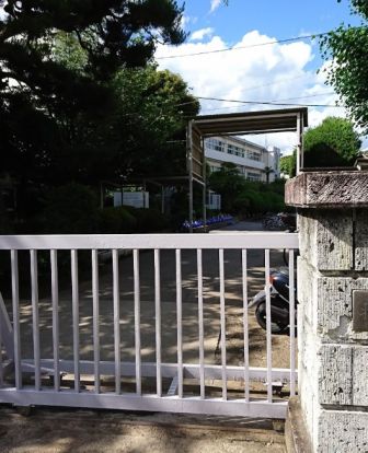 柏市立柏第一小学校の画像