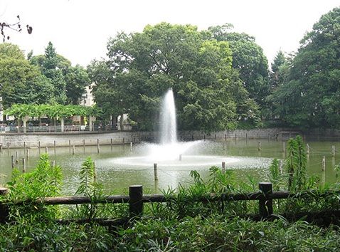 碑文谷公園の画像