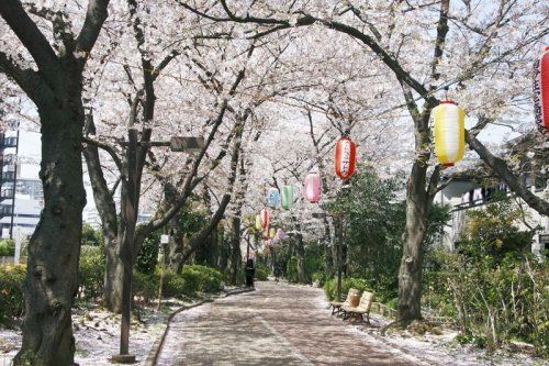 南砂緑道公園の画像