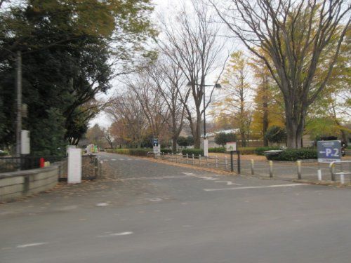 都立小金井公園の画像