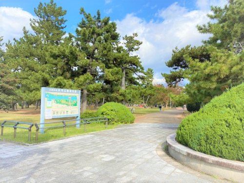 浜寺公園の画像