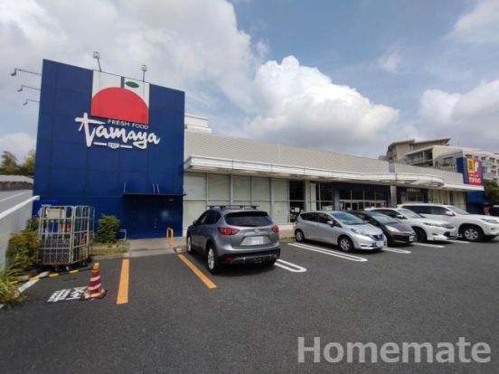 SUPER MARKET Tamaya(スーパーマーケットたまや) 野庭店の画像