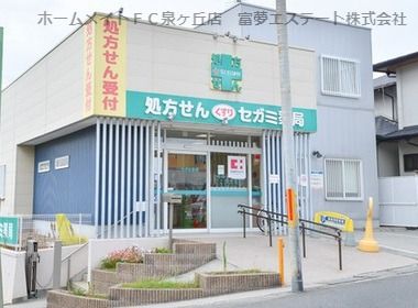 セガミ薬局堺小阪店の画像