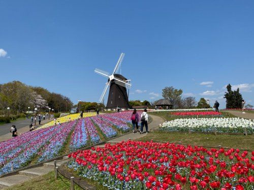 花博記念公園鶴見緑地の画像