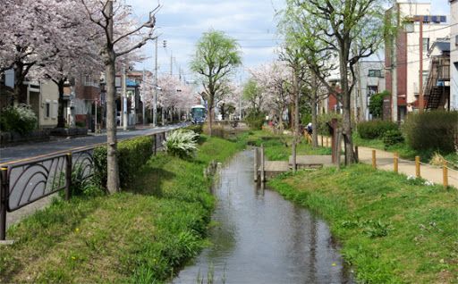 曳舟川親水公園の画像