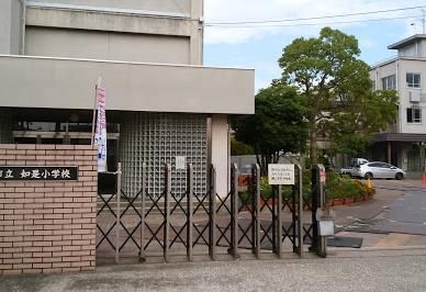 高槻市立如是小学校の画像