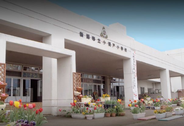 新潟市立小須戸小学校の画像