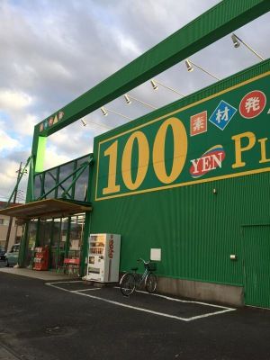 ザ・ダイソー&アオヤマ　ひたちなか店の画像