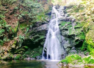 摂津峡公園の画像