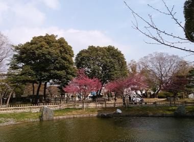 城跡公園の画像