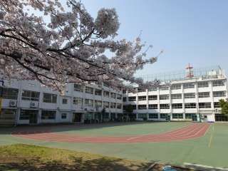 台東区立石浜小学校の画像